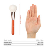 US_Tantaly_Renewal_Powder_Brush